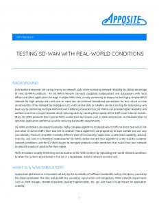 SD-WAN-whitepaper_Page_1
