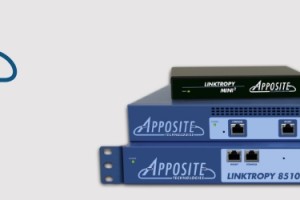 Apposite Linktropy products