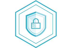 Ixia Security Icon