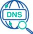 DNS Storm Icon